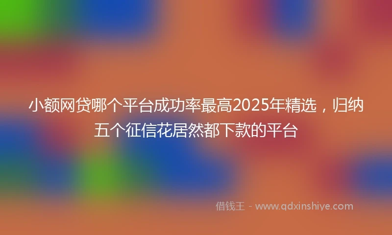 小额网贷哪个平台成功率最高2025年精选，归纳五个征信花居然都下款的平台