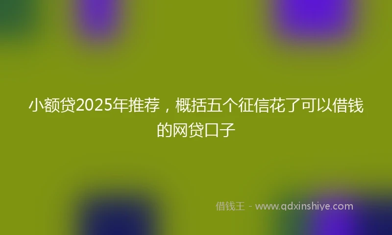 小额贷2025年推荐，概括五个征信花了可以借钱的网贷口子