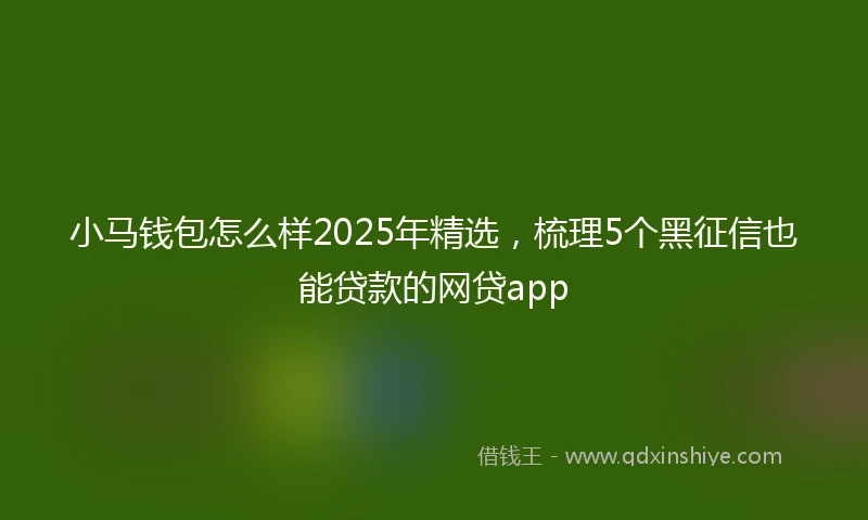 小马钱包怎么样2025年精选，梳理5个黑征信也能贷款的网贷app