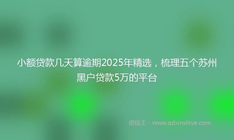 小额贷款几天算逾期2025年精选，梳理五个苏州黑户贷款5万的平台