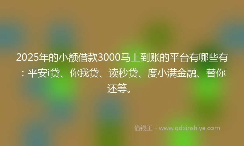 2025年的小额借款3000马上到账的平台有哪些有：平安i贷、你我贷、读秒贷、度小满金融、替你还等。