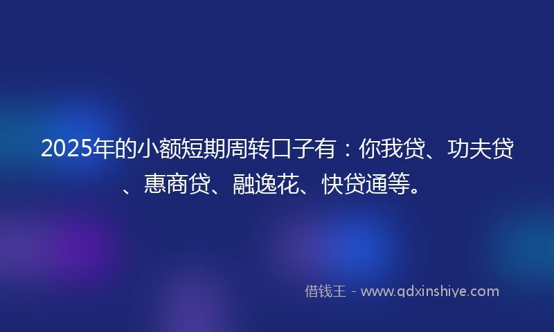 2025年的小额短期周转口子有：你我贷、功夫贷、惠商贷、融逸花、快贷通等。