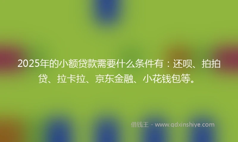 2025年的小额贷款需要什么条件有：还呗、拍拍贷、拉卡拉、京东金融、小花钱包等。