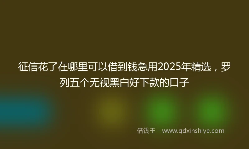 征信花了在哪里可以借到钱急用2025年精选，罗列五个无视黑白好下款的口子