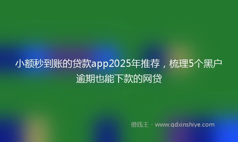 小额秒到账的贷款app2025年推荐，梳理5个黑户逾期也能下款的网贷