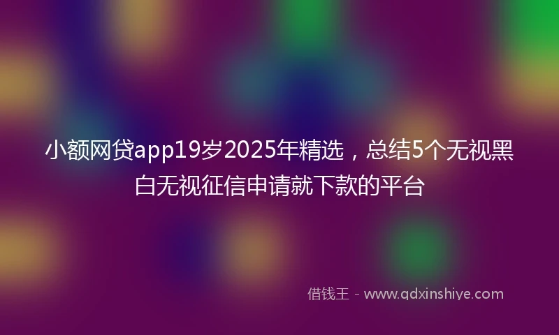 小额网贷app19岁2025年精选，总结5个无视黑白无视征信申请就下款的平台