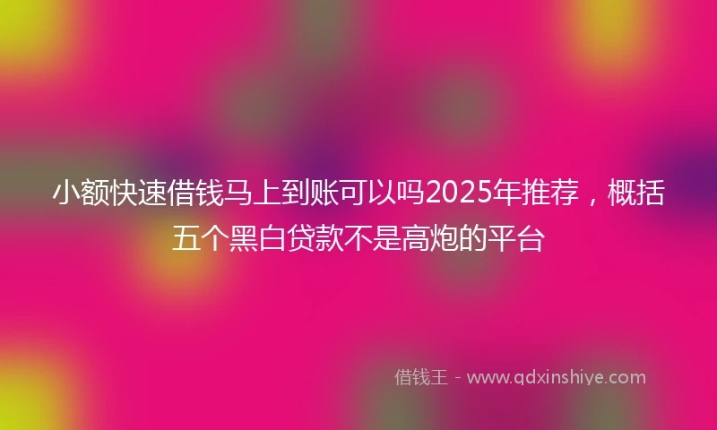 小额快速借钱马上到账可以吗2025年推荐，概括五个黑白贷款不是高炮的平台
