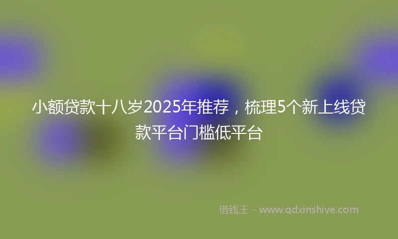 小额贷款十八岁2025年推荐，梳理5个新上线贷款平台门槛低平台