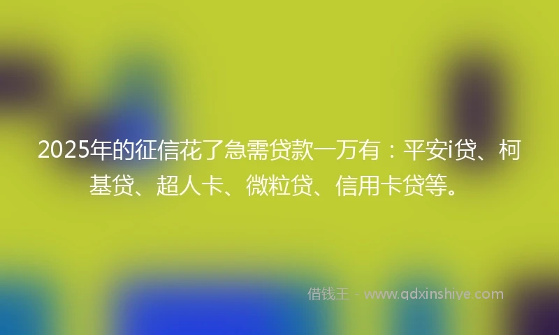 2025年的征信花了急需贷款一万有：平安i贷、柯基贷、超人卡、微粒贷、信用卡贷等。