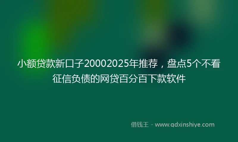 小额贷款新口子20002025年推荐，盘点5个不看征信负债的网贷百分百下款软件