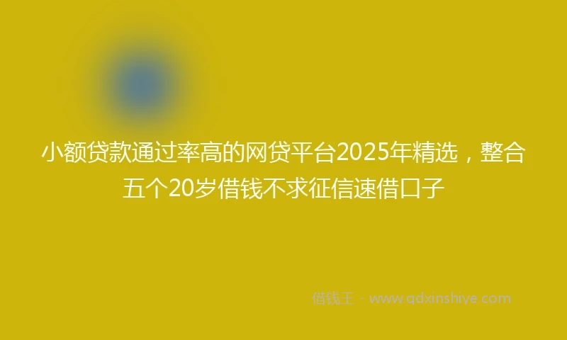 小额贷款通过率高的网贷平台2025年精选，整合五个20岁借钱不求征信速借口子