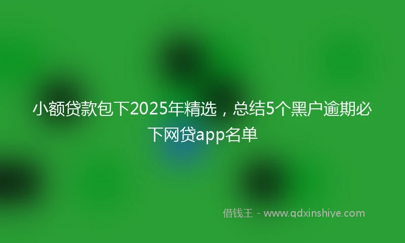小额贷款包下2025年精选，总结5个黑户逾期必下网贷app名单