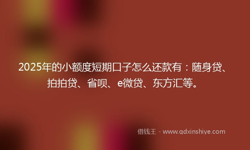 2025年的小额度短期口子怎么还款有：随身贷、拍拍贷、省呗、e微贷、东方汇等。