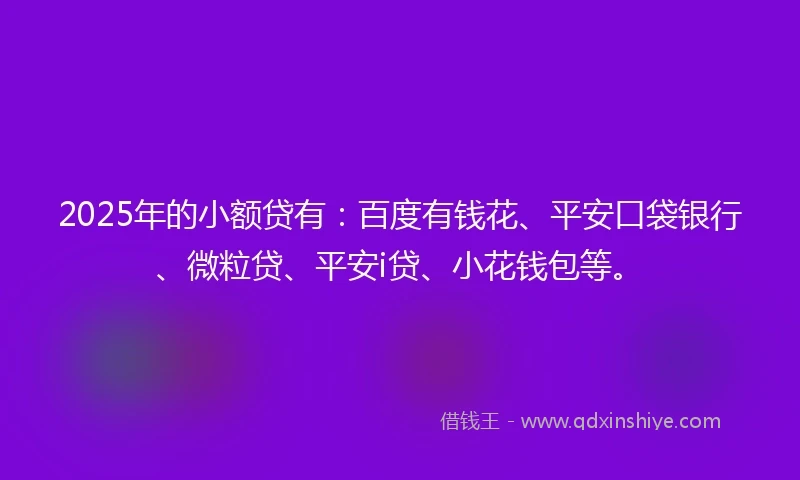 2025年的小额贷有：百度有钱花、平安口袋银行、微粒贷、平安i贷、小花钱包等。