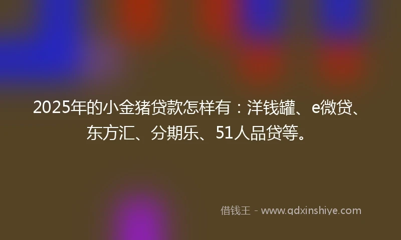 2025年的小金猪贷款怎样有：洋钱罐、e微贷、东方汇、分期乐、51人品贷等。