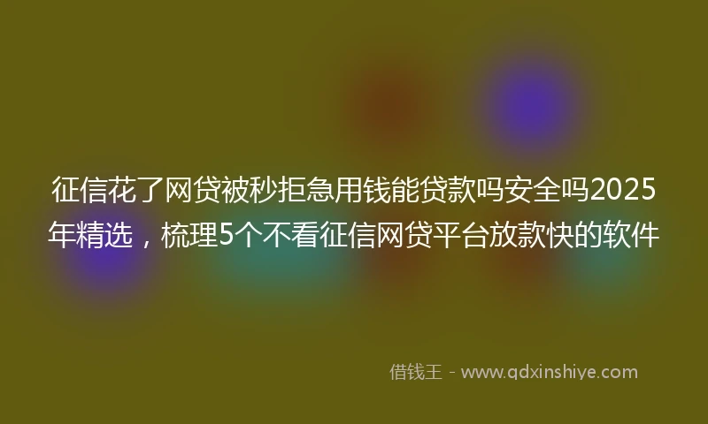 征信花了网贷被秒拒急用钱能贷款吗安全吗2025年精选，梳理5个不看征信网贷平台放款快的软件