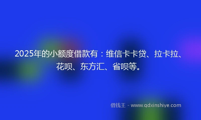 2025年的小额度借款有：维信卡卡贷、拉卡拉、花呗、东方汇、省呗等。