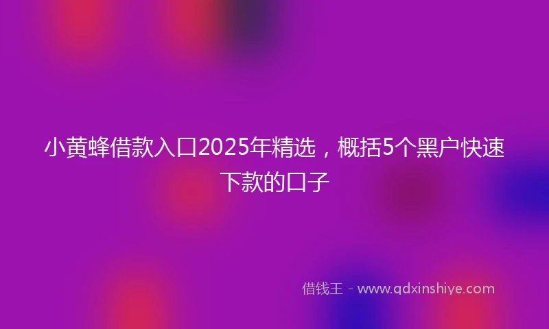 小黄蜂借款入口2025年精选，概括5个黑户快速下款的口子