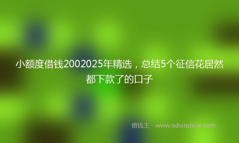 小额度借钱2002025年精选，总结5个征信花居然都下款了的口子