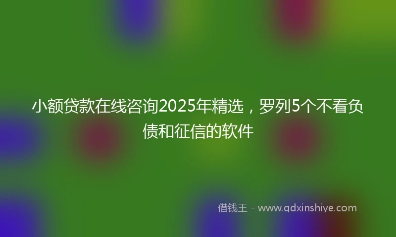 小额贷款在线咨询2025年精选，罗列5个不看负债和征信的软件