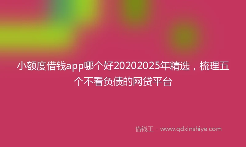 小额度借钱app哪个好20202025年精选，梳理五个不看负债的网贷平台