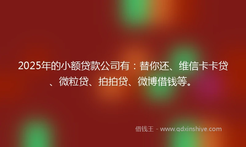 2025年的小额贷款公司有：替你还、维信卡卡贷、微粒贷、拍拍贷、微博借钱等。