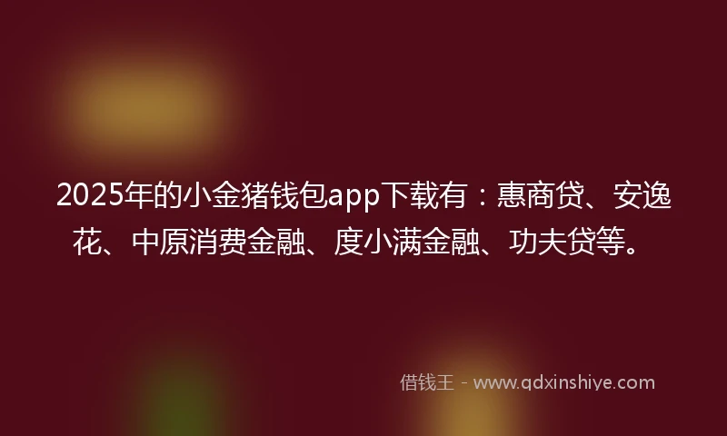 2025年的小金猪钱包app下载有：惠商贷、安逸花、中原消费金融、度小满金融、功夫贷等。