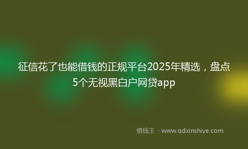 征信花了也能借钱的正规平台2025年精选，盘点5个无视黑白户网贷app