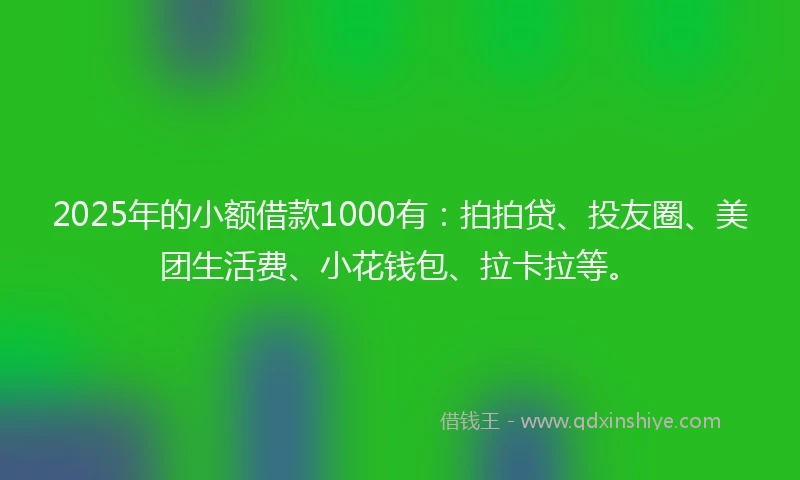 2025年的小额借款1000有：拍拍贷、投友圈、美团生活费、小花钱包、拉卡拉等。