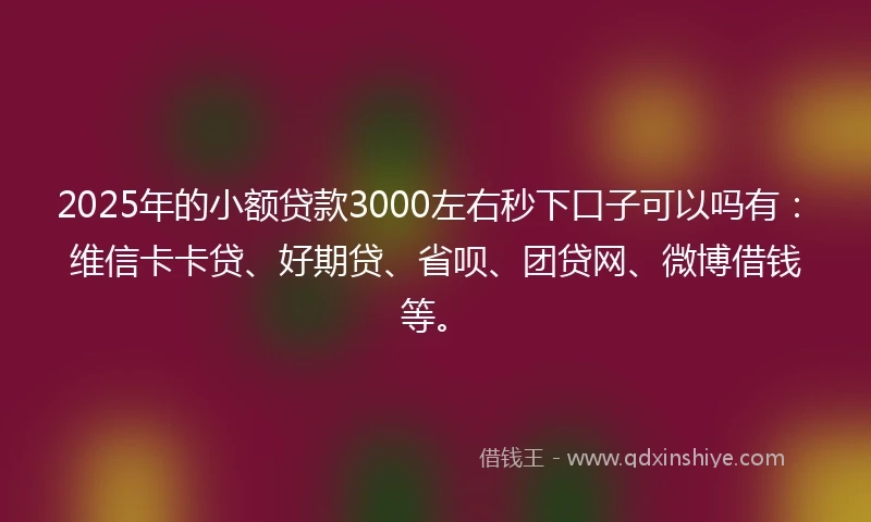 2025年的小额贷款3000左右秒下口子可以吗有：维信卡卡贷、好期贷、省呗、团贷网、微博借钱等。