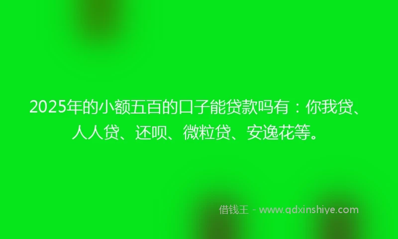 2025年的小额五百的口子能贷款吗有：你我贷、人人贷、还呗、微粒贷、安逸花等。