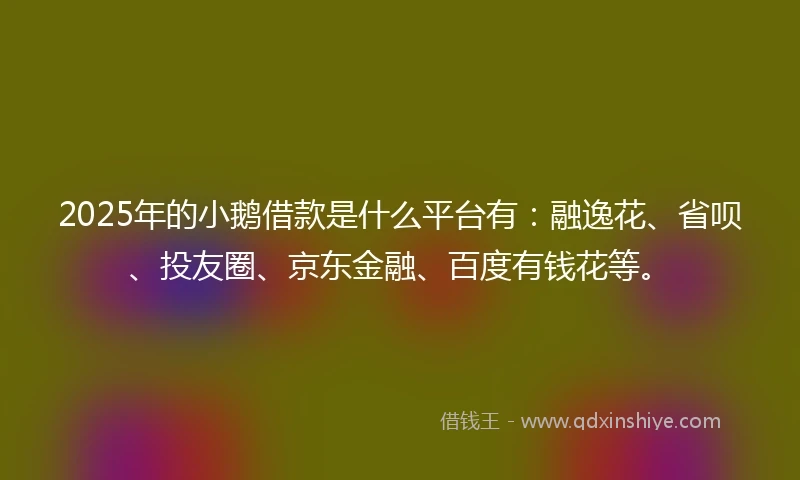 2025年的小鹅借款是什么平台有：融逸花、省呗、投友圈、京东金融、百度有钱花等。
