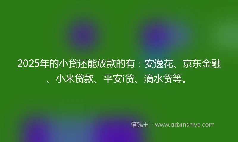 2025年的小贷还能放款的有：安逸花、京东金融、小米贷款、平安i贷、滴水贷等。
