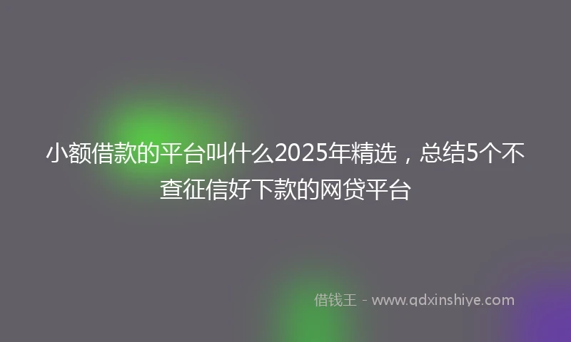 小额借款的平台叫什么2025年精选，总结5个不查征信好下款的网贷平台