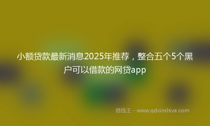 小额贷款最新消息2025年推荐，整合五个5个黑户可以借款的网贷app