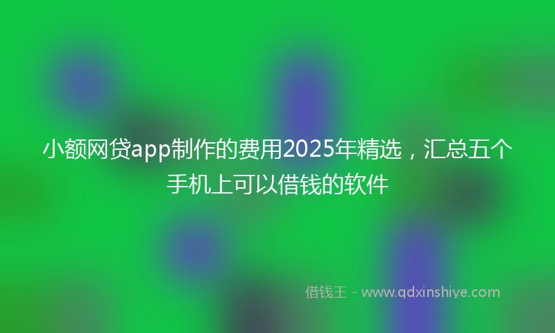 小额网贷app制作的费用2025年精选，汇总五个手机上可以借钱的软件