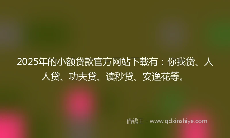 2025年的小额贷款官方网站下载有：你我贷、人人贷、功夫贷、读秒贷、安逸花等。