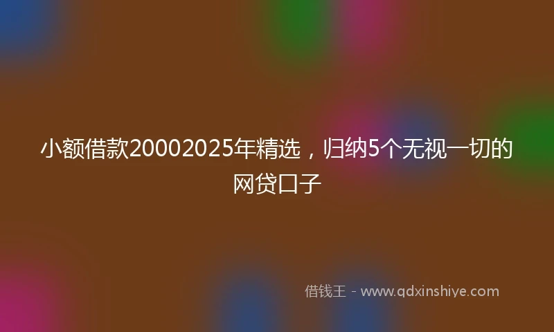 小额借款20002025年精选，归纳5个无视一切的网贷口子