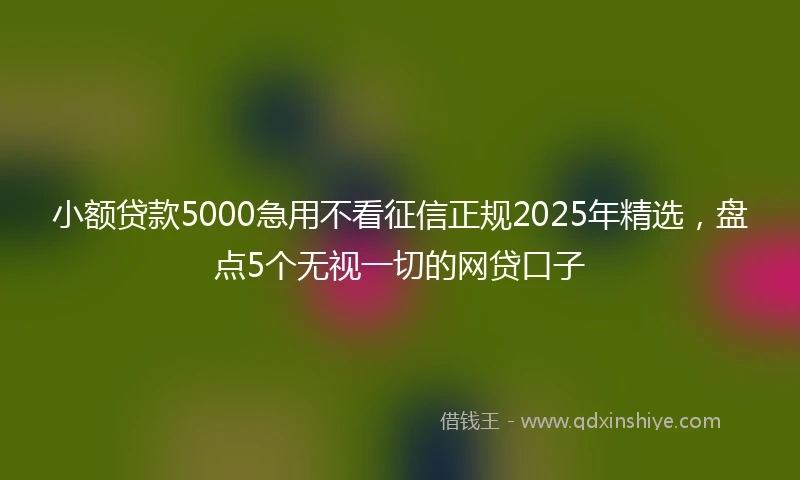 小额贷款5000急用不看征信正规2025年精选，盘点5个无视一切的网贷口子