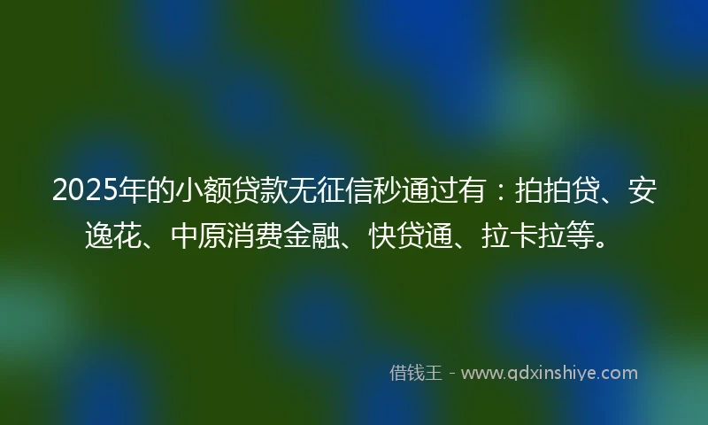 2025年的小额贷款无征信秒通过有：拍拍贷、安逸花、中原消费金融、快贷通、拉卡拉等。