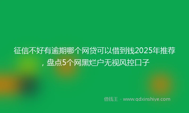 征信不好有逾期哪个网贷可以借到钱2025年推荐,盘点5个网黑烂户无视风控口子