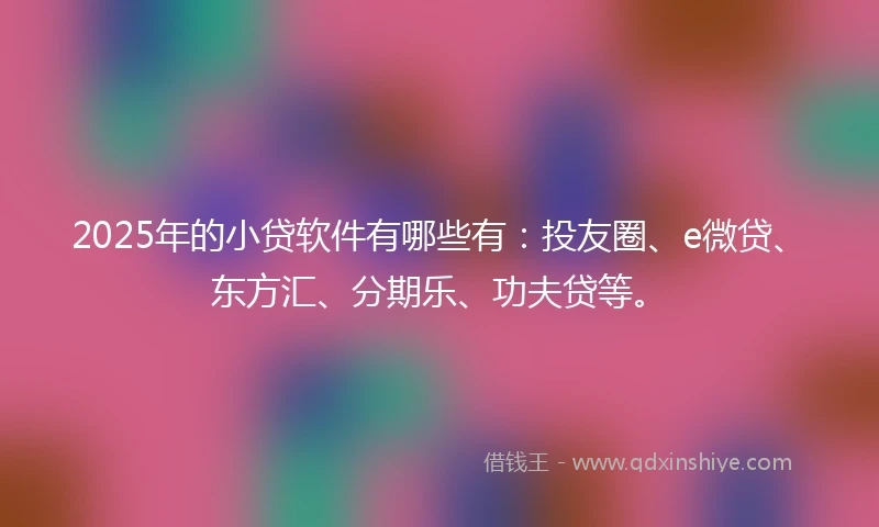 2025年的小贷软件有哪些有：投友圈、e微贷、东方汇、分期乐、功夫贷等。