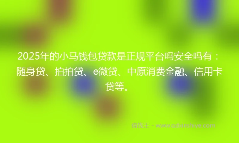 2025年的小马钱包贷款是正规平台吗安全吗有：随身贷、拍拍贷、e微贷、中原消费金融、信用卡贷等。