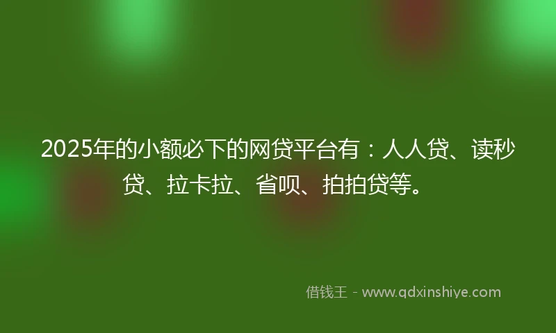 2025年的小额必下的网贷平台有：人人贷、读秒贷、拉卡拉、省呗、拍拍贷等。