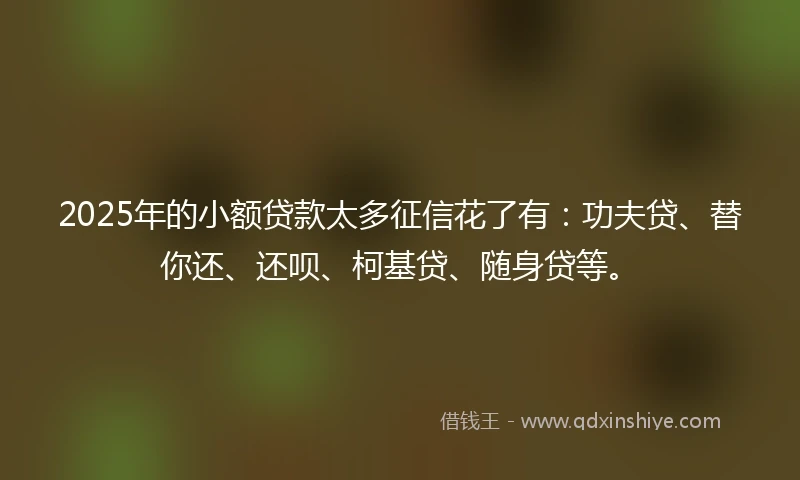 2025年的小额贷款太多征信花了有：功夫贷、替你还、还呗、柯基贷、随身贷等。