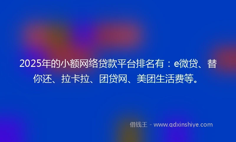 2025年的小额网络贷款平台排名有：e微贷、替你还、拉卡拉、团贷网、美团生活费等。