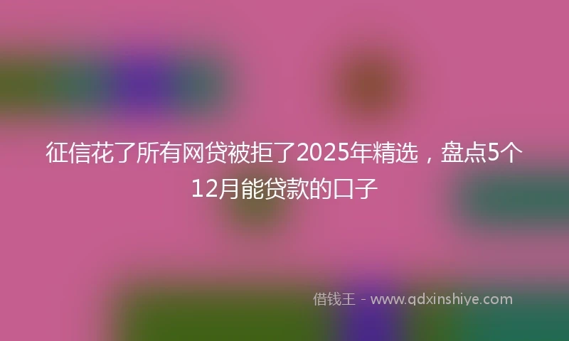 征信花了所有网贷被拒了2025年精选,盘点5个12月能贷款的口子
