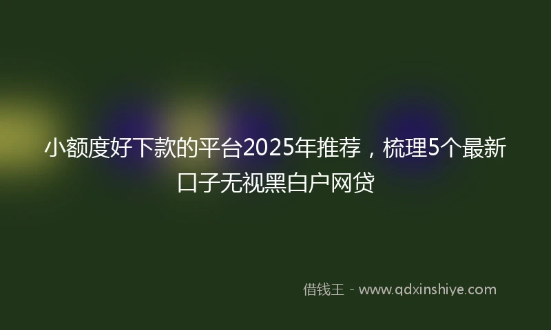 小额度好下款的平台2025年推荐，梳理5个最新口子无视黑白户网贷