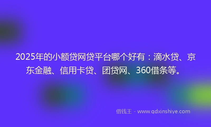 2025年的小额贷网贷平台哪个好有：滴水贷、京东金融、信用卡贷、团贷网、360借条等。