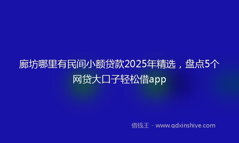 廊坊哪里有民间小额贷款2025年精选，盘点5个网贷大口子轻松借app